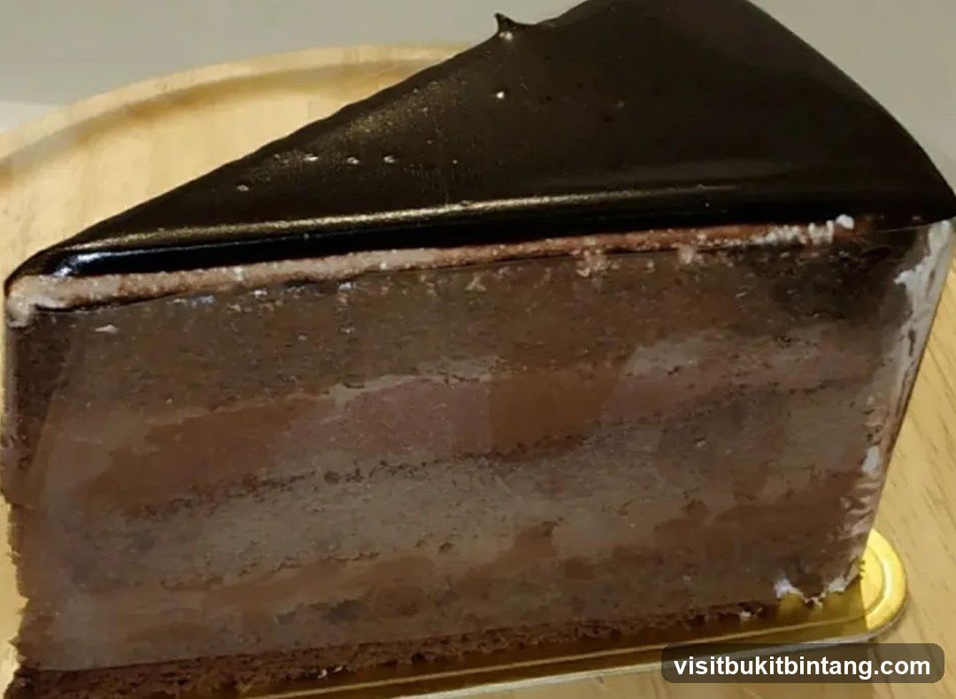 Chocolate Cake Slice