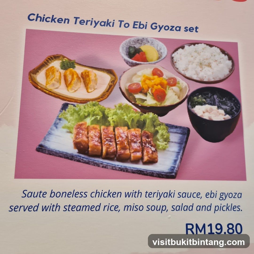 Chicken Teriyaki To Ebi Gyoza set