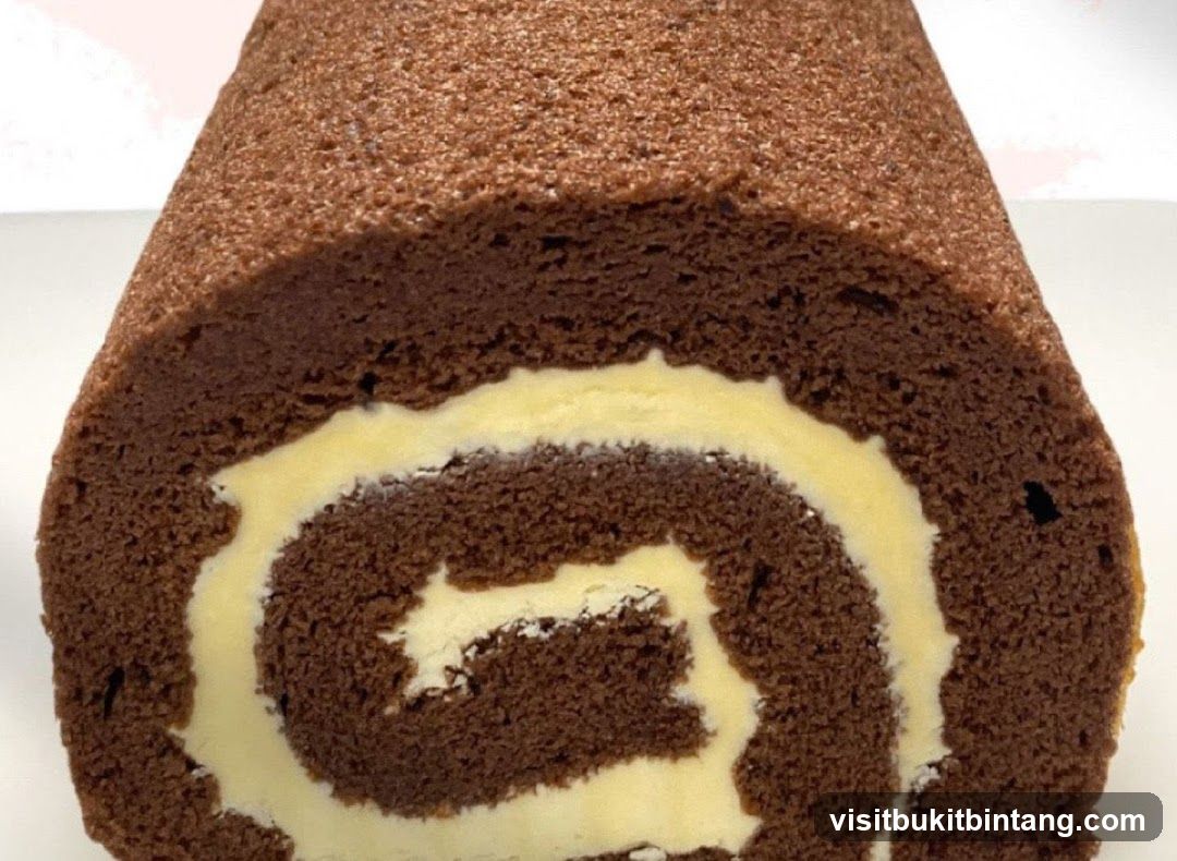 Chocolate Swirl Roll Cake