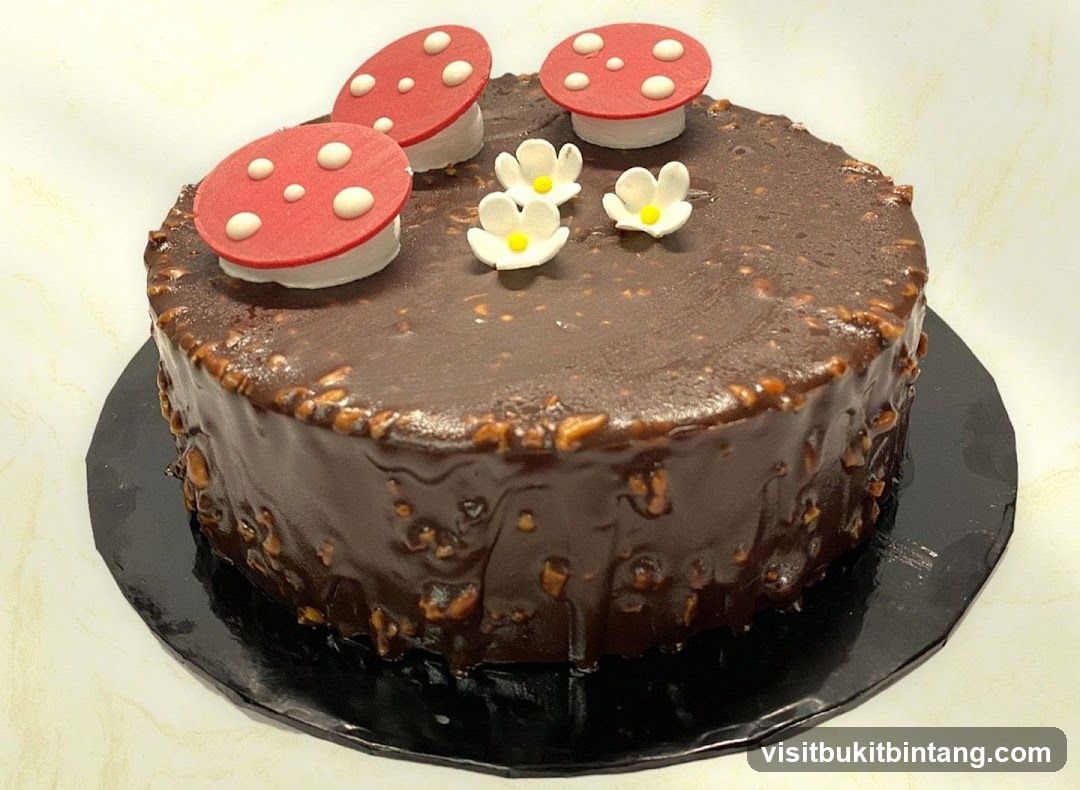 Chocolate Cake with Mushroom Toppers