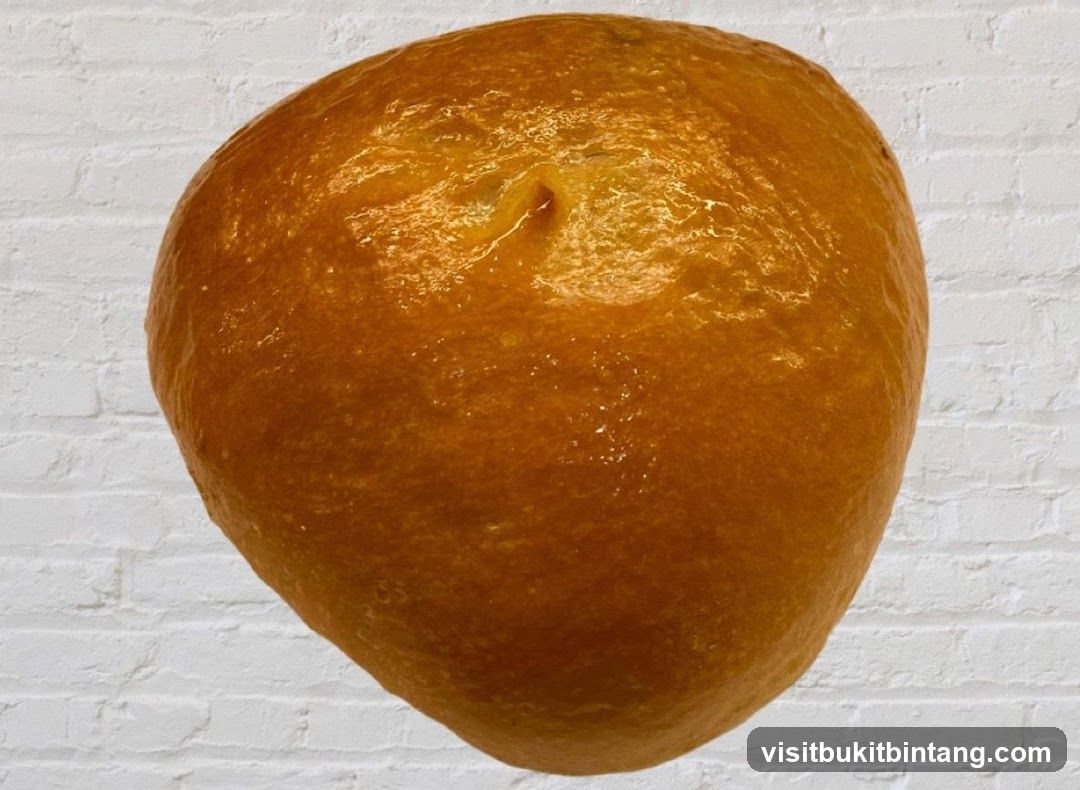 Baked Bread Loaf