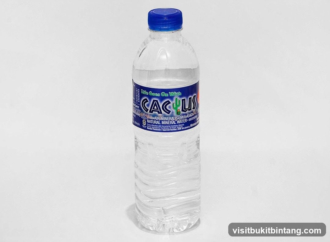 Cactus Water Bottle