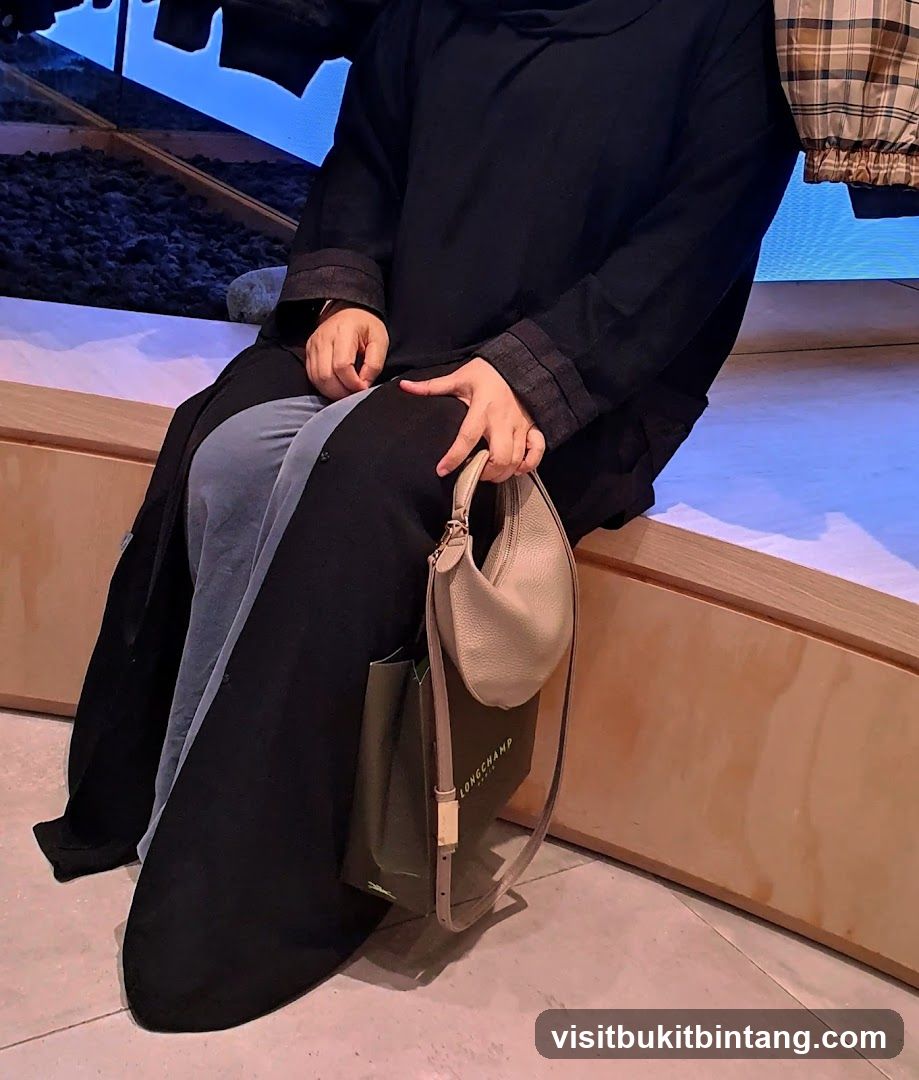 Woman with Handbags