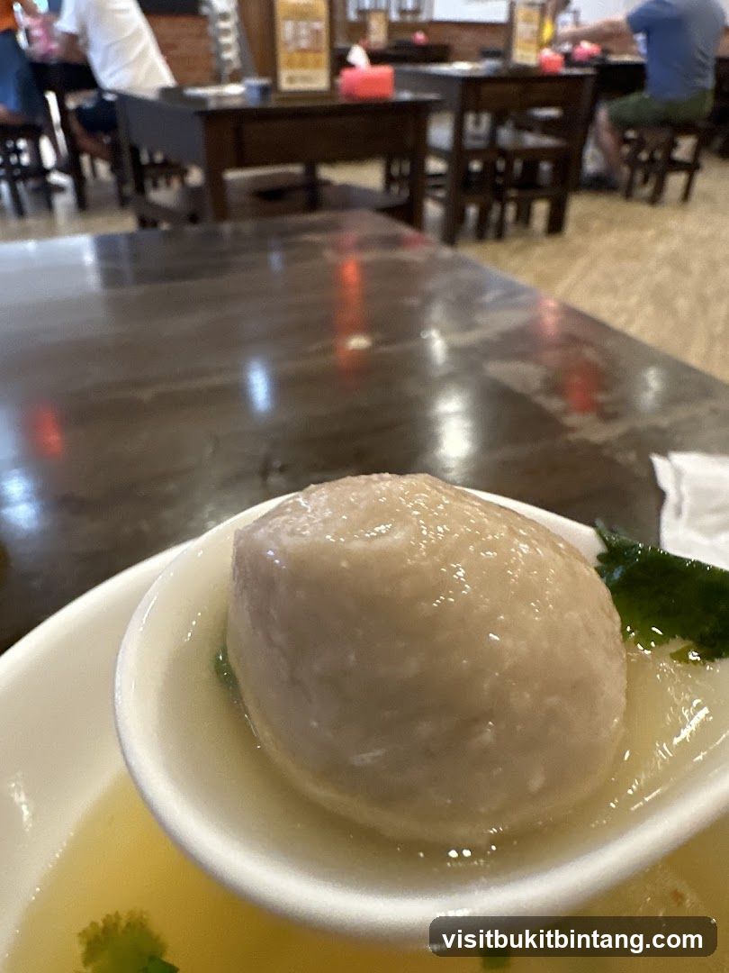 Close-up of a Meatball in Broth