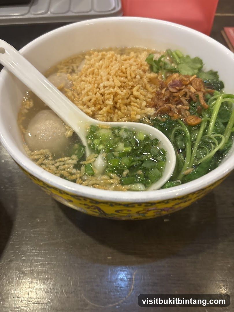 Noodle Soup with Meatballs