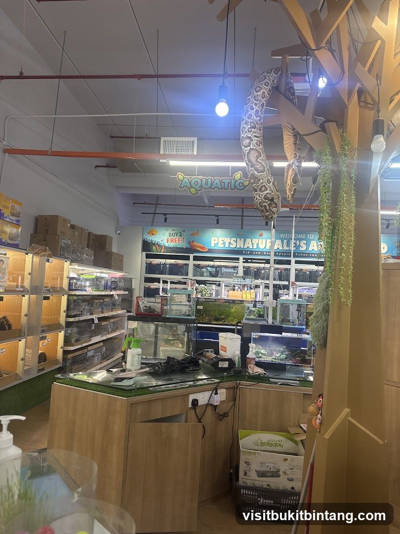 Pet Store Interior