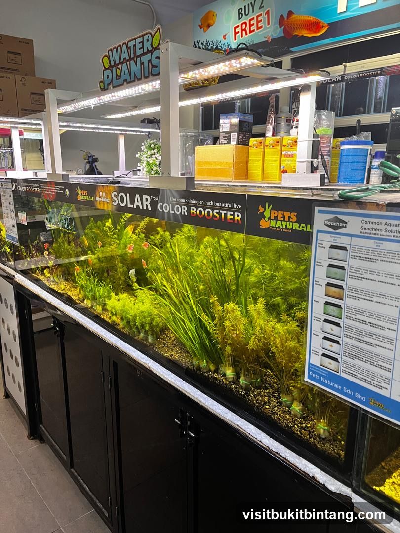 Aquarium Store Display
