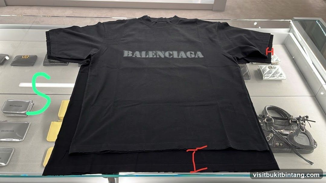 Balenciaga T-shirt and Accessories