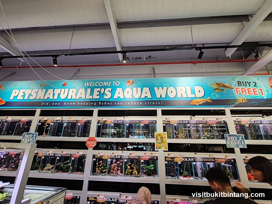 Pet Store Interior