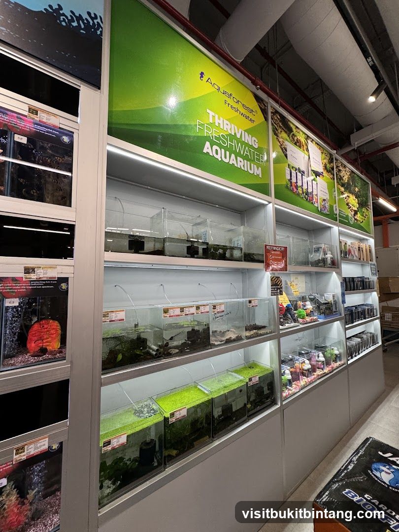 Aquarium Store Display