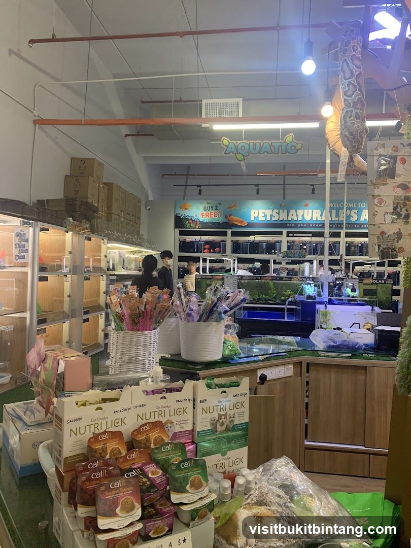 Pet Store Interior