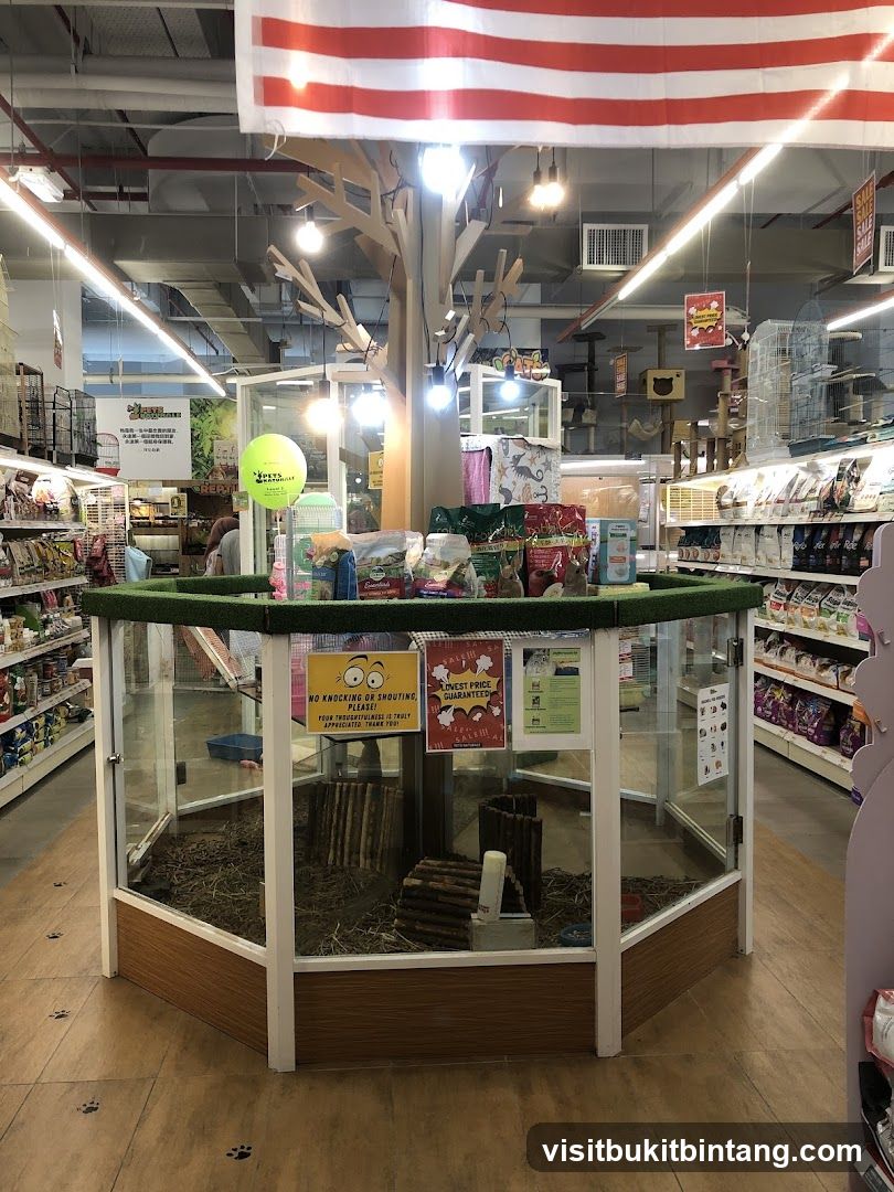 Pet Store Display