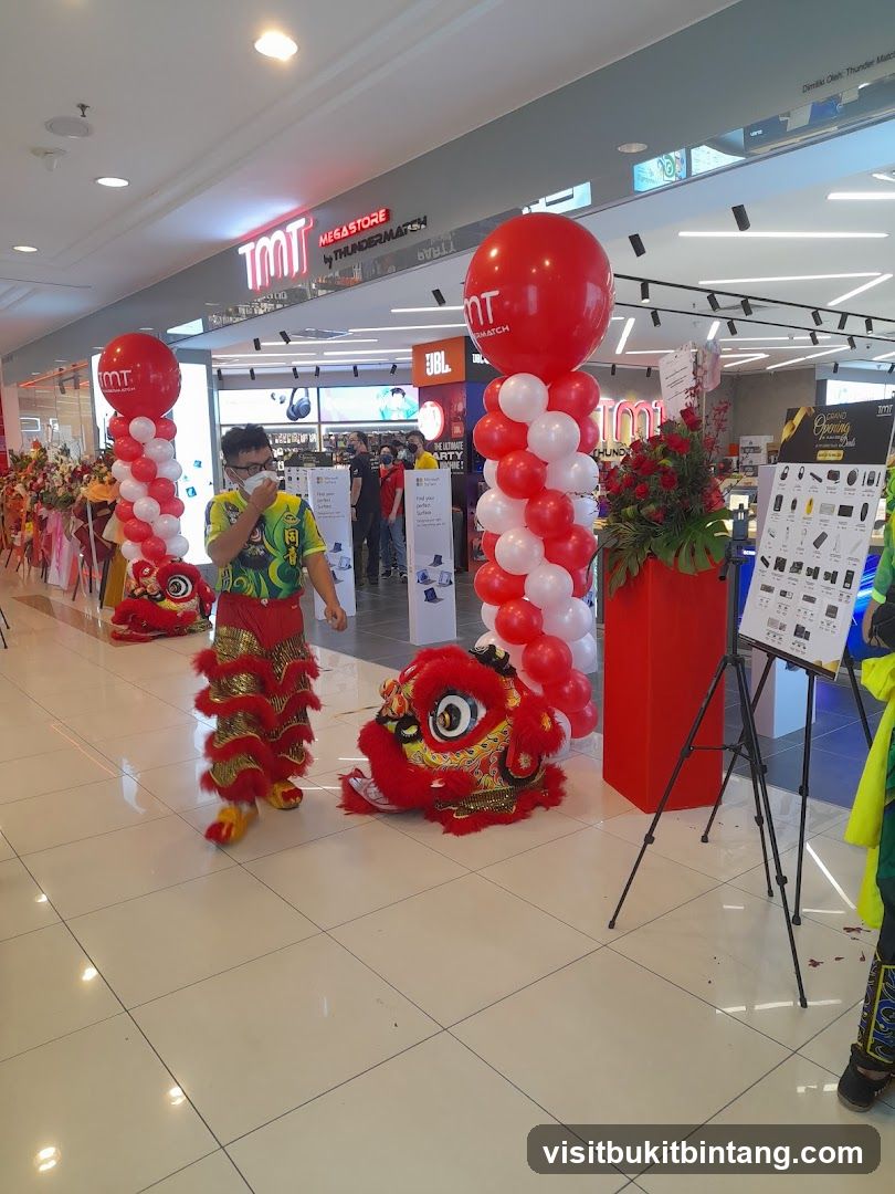 Lion Dance Performance