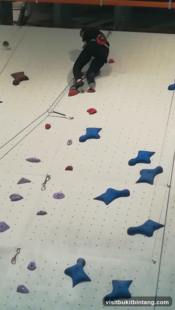 Climbing Wall Activity