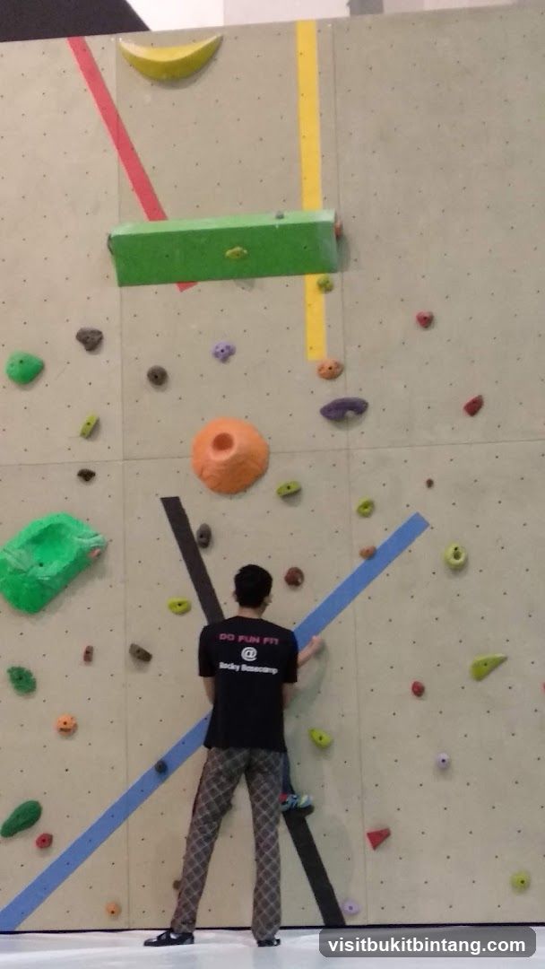 Climbing Wall