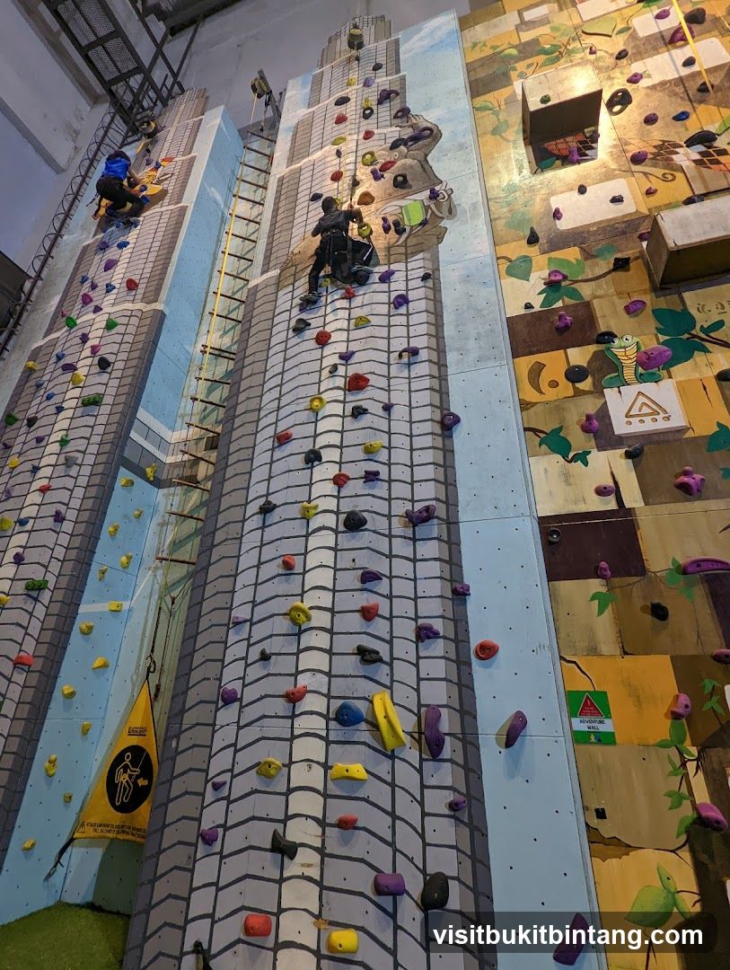 Indoor Climbing Walls