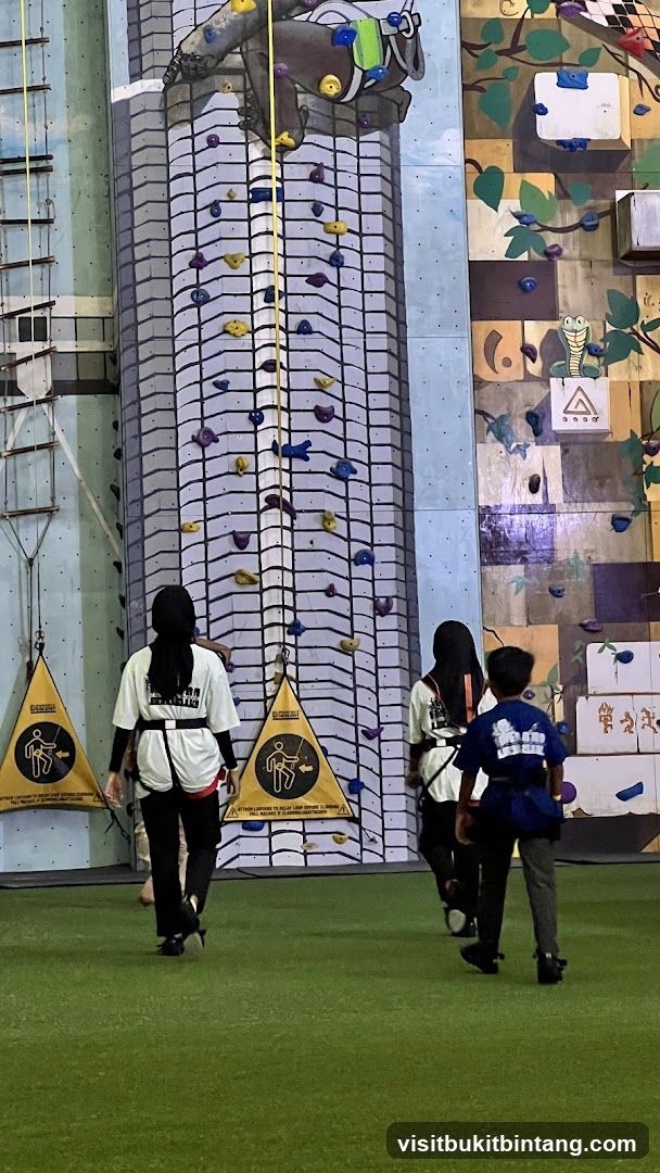 Climbing Wall