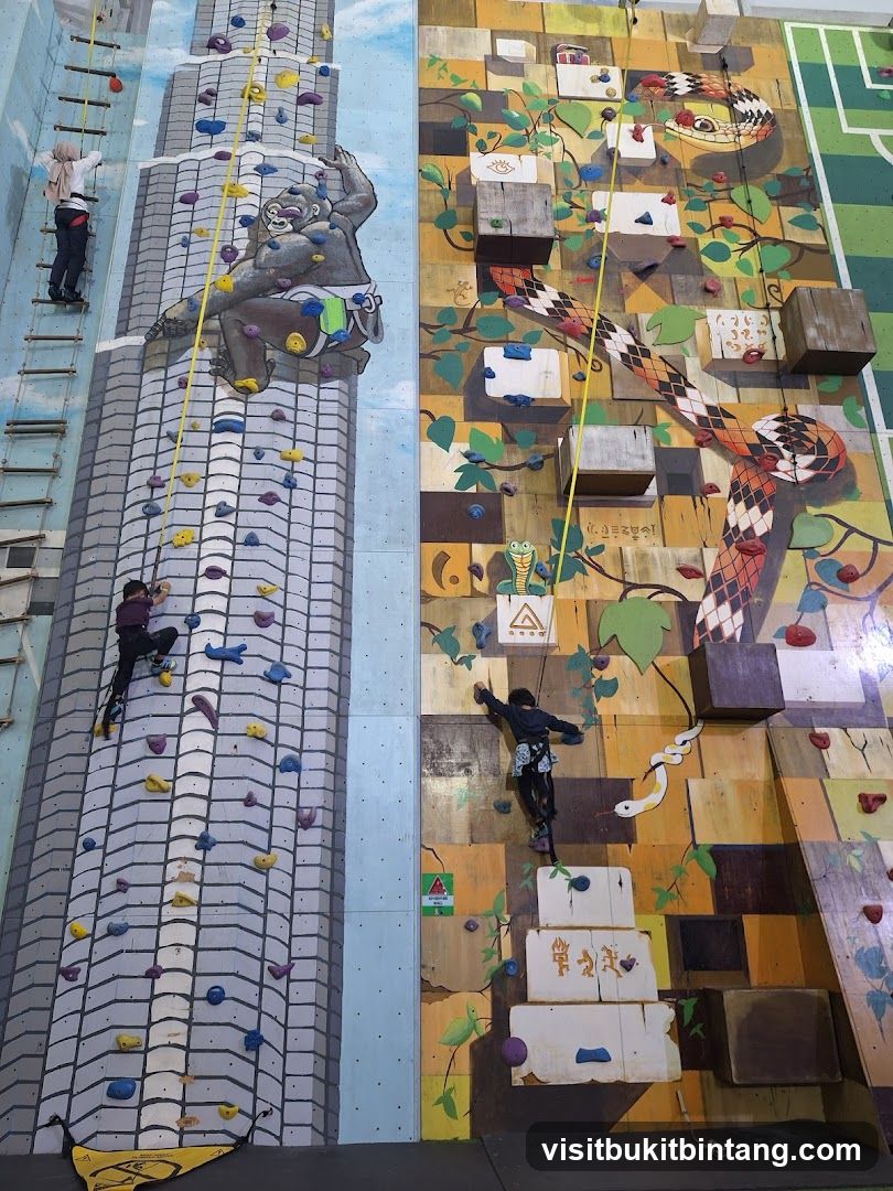 Indoor Climbing Walls