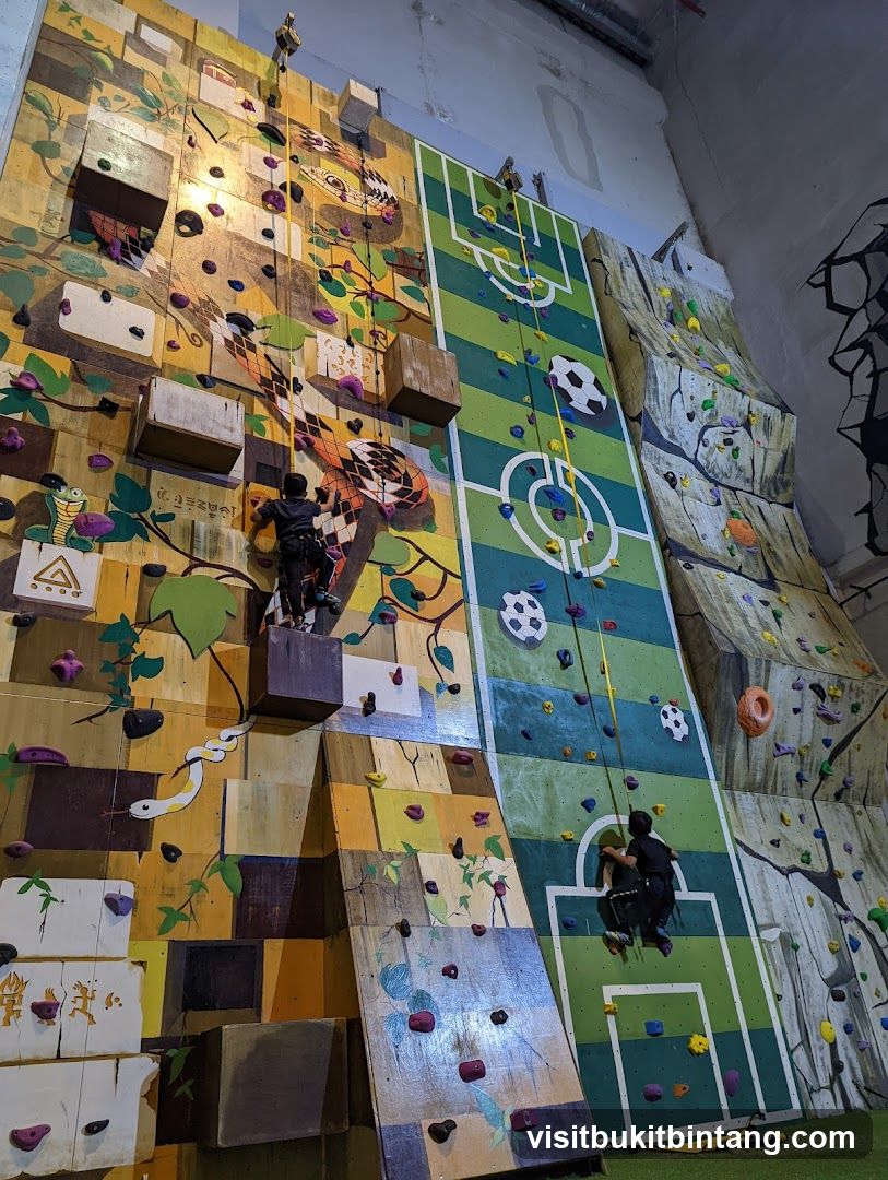 Indoor Climbing Wall