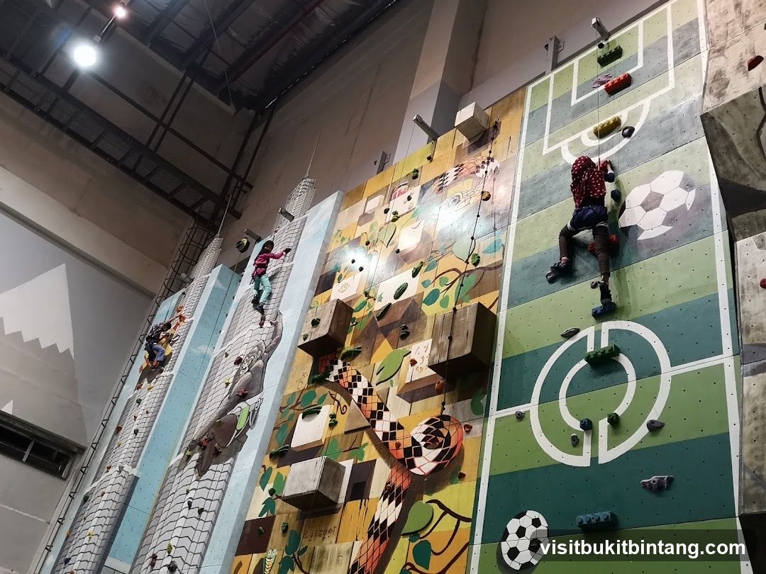 Indoor Climbing Walls