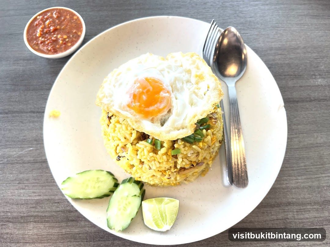 Fried Rice with Fried Egg