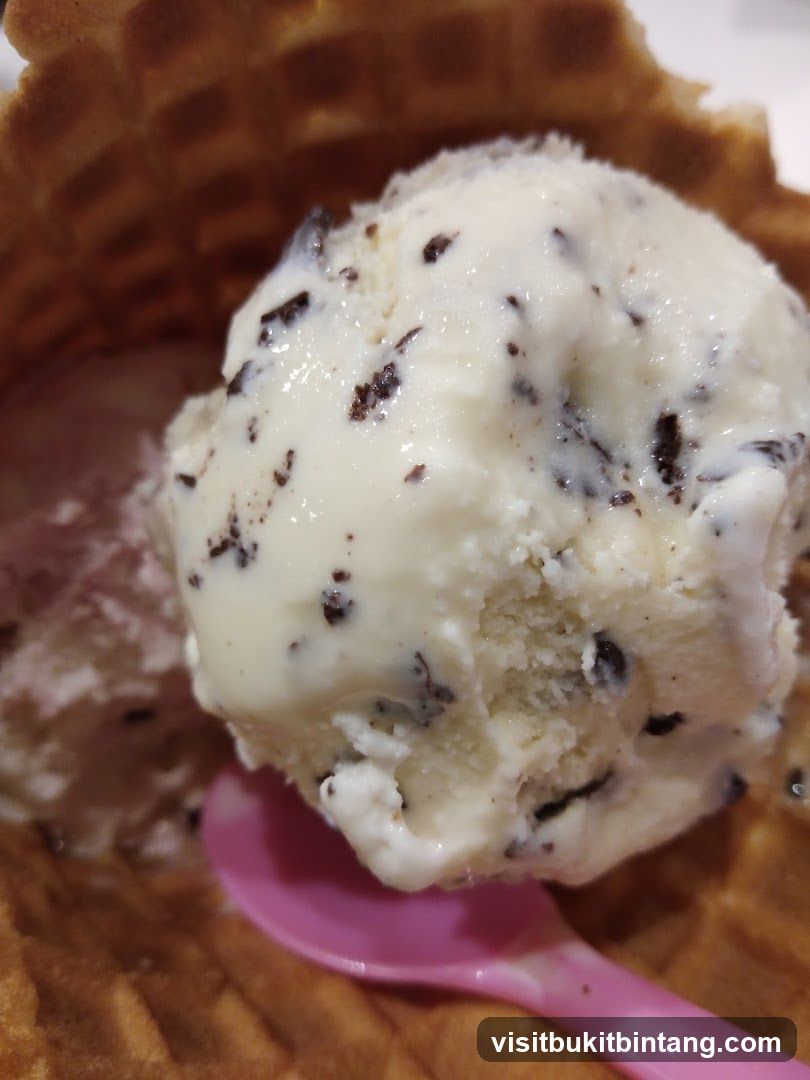 Chocolate Chip Ice Cream in a Waffle Cone