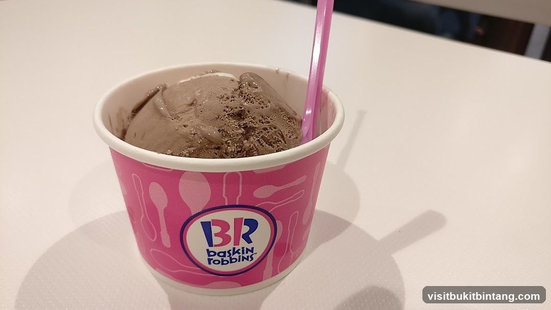 Baskin Robbins Ice Cream Cup
