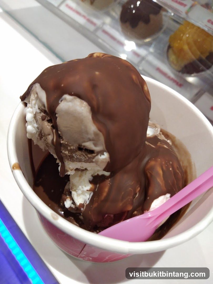 Ice Cream with Chocolate Sauce