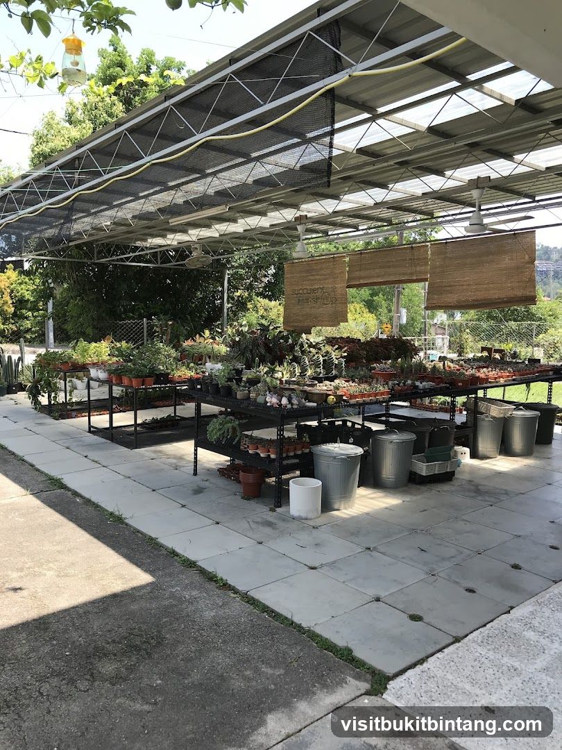 Succulent Shop (Gurney Paragon)