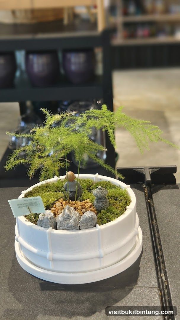 Succulent Shop (Gurney Paragon)