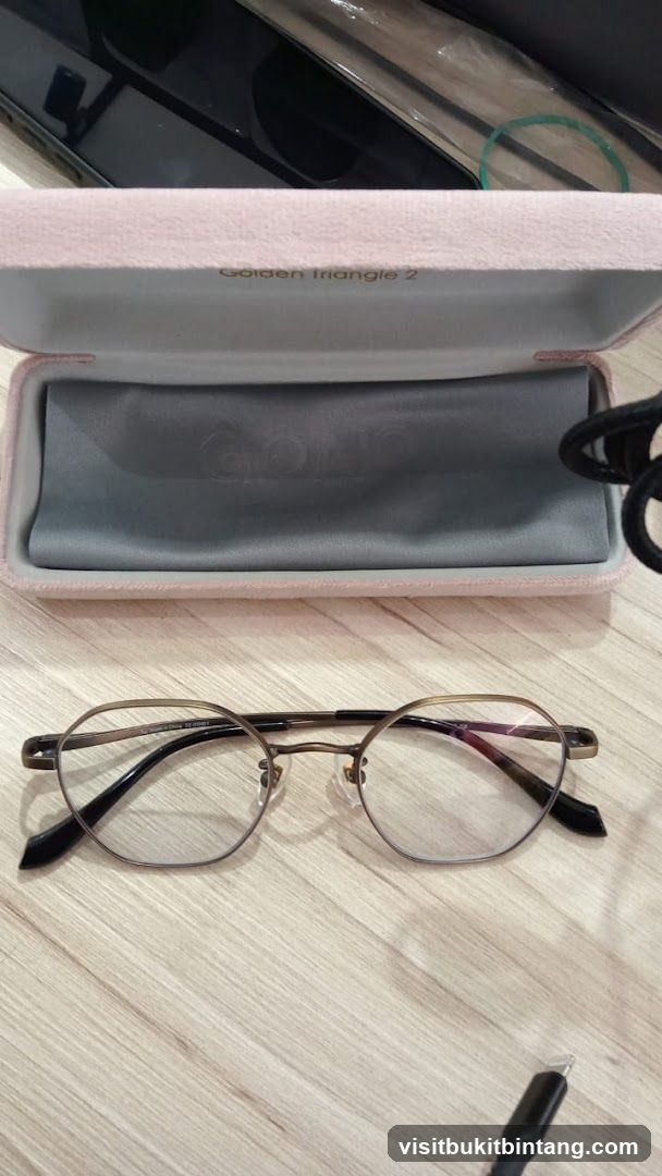 Eyeglasses and case