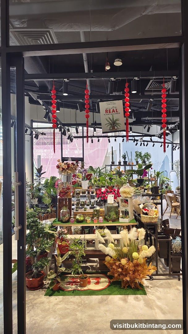 Plant and Flower Shop Display