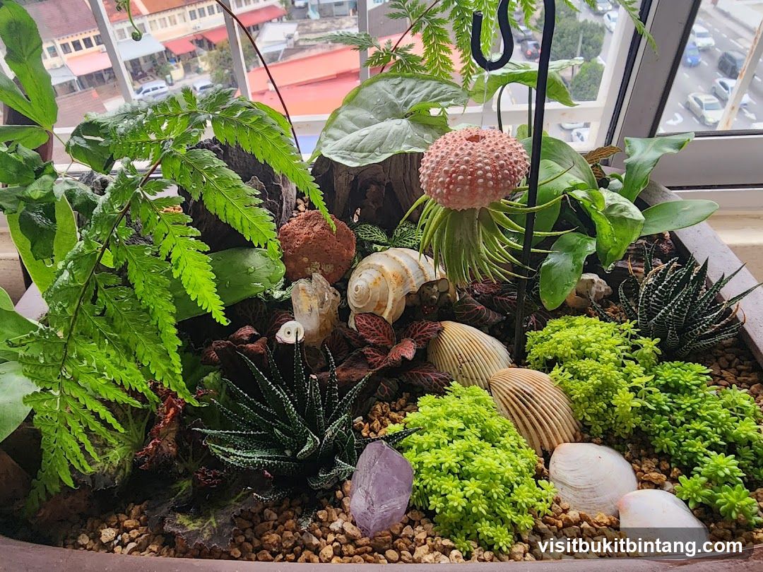 Terrarium with Plants and Seashells