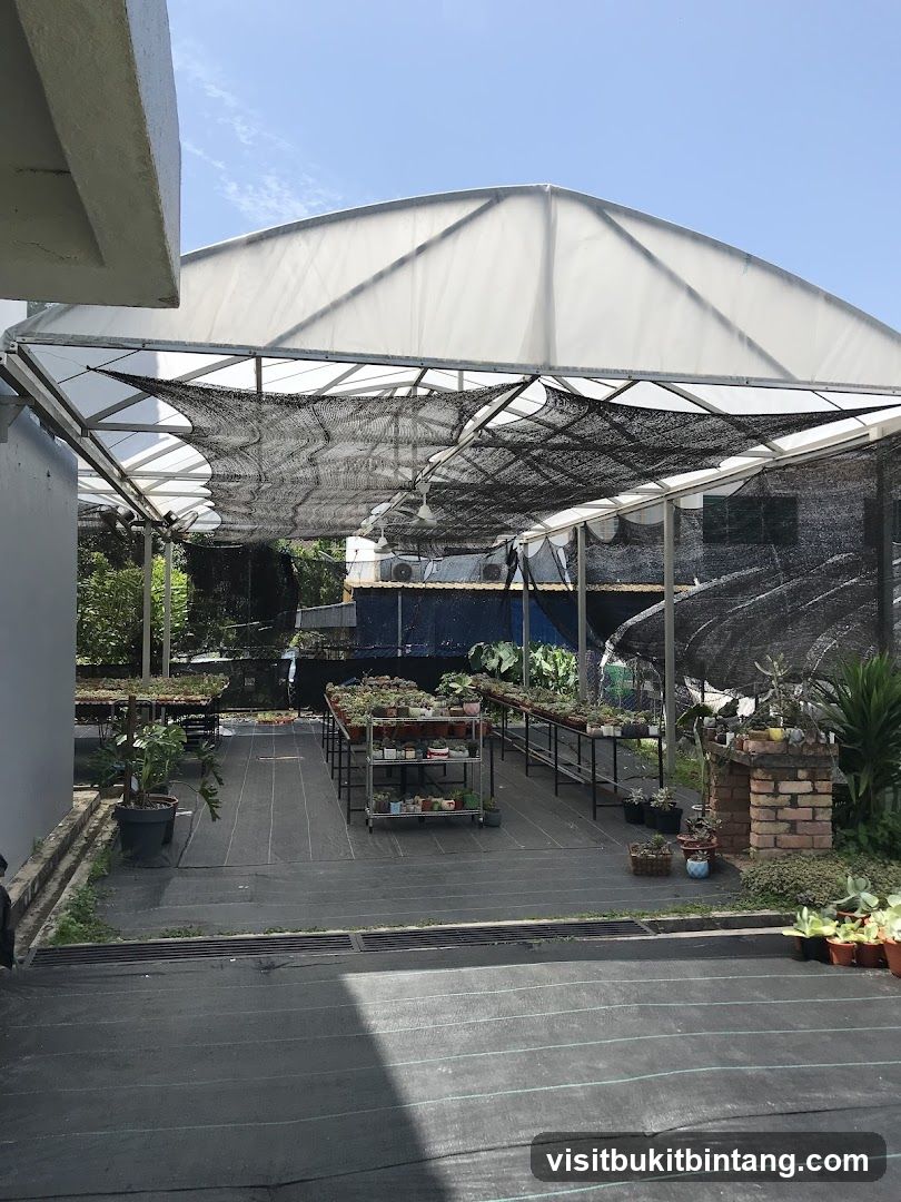 Greenhouse with Plants