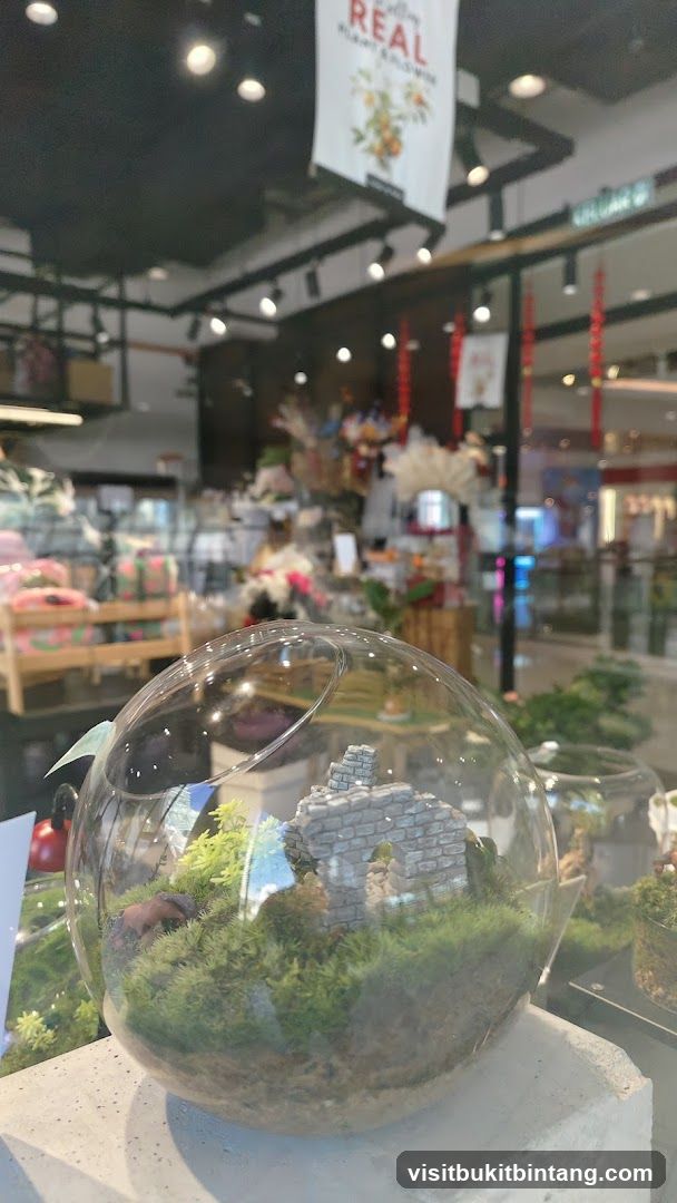 Terrarium Display
