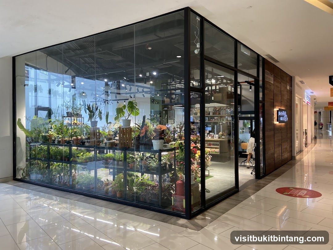 Succulent Shop (Gurney Paragon)