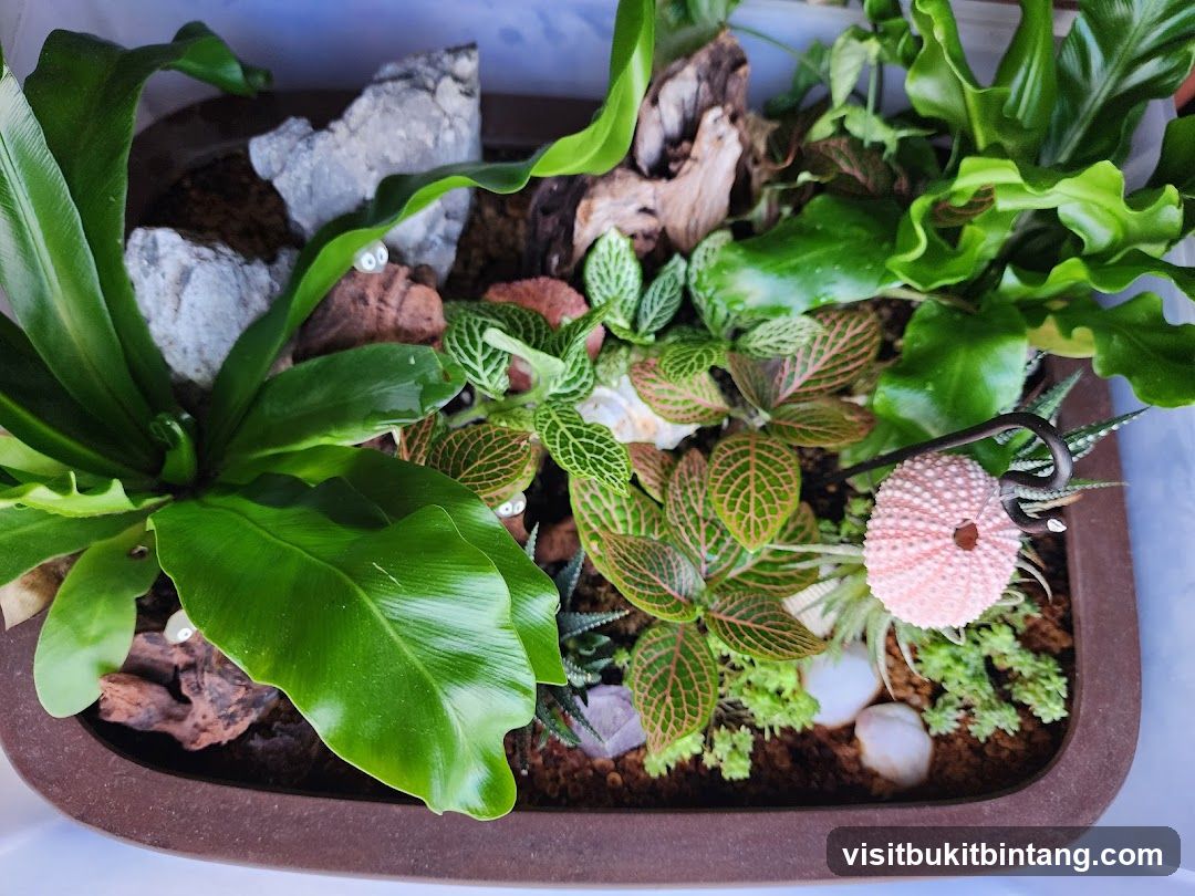 Terrarium with Plants and Decorative Elements
