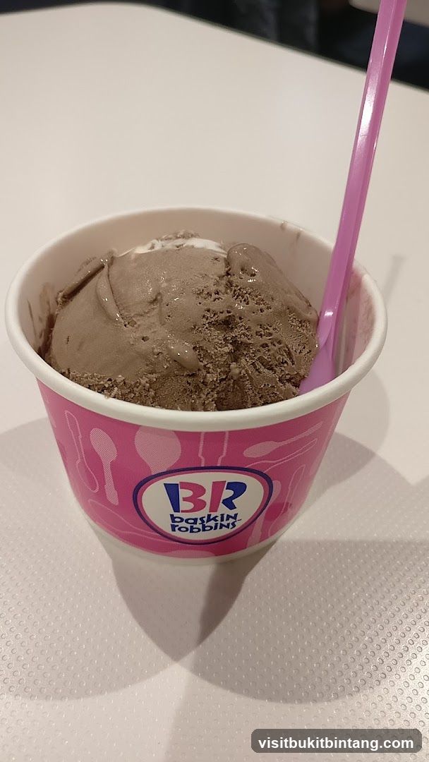 Baskin Robbins Ice Cream Cup