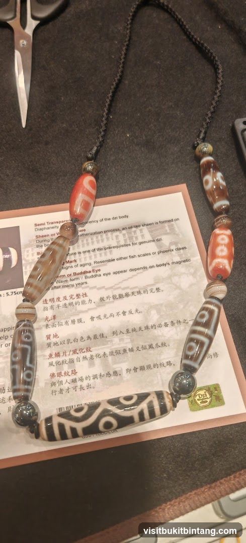 Dzi Bead Necklace with Description Card