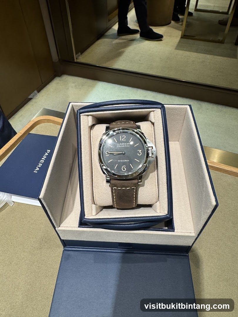 Panerai Watch in Box