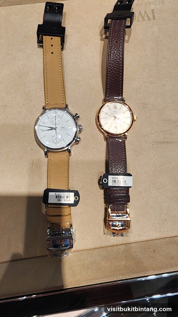 Two IWC Watches