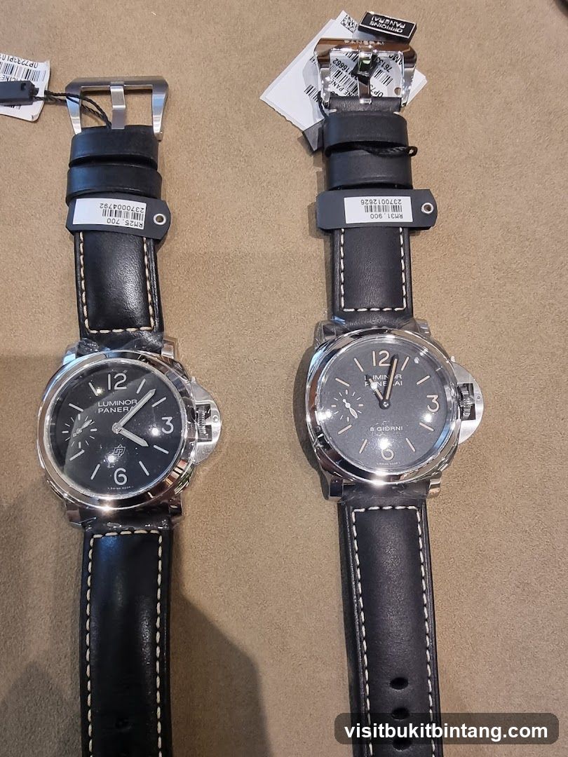 Two Panerai Watches