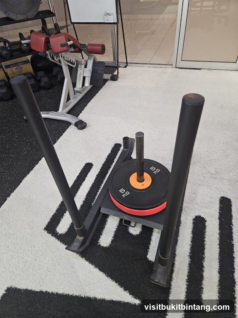 Gym Sled and Weight Plates