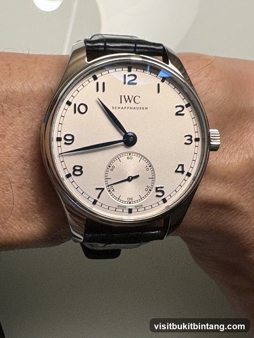 IWC Schaffhausen Watch