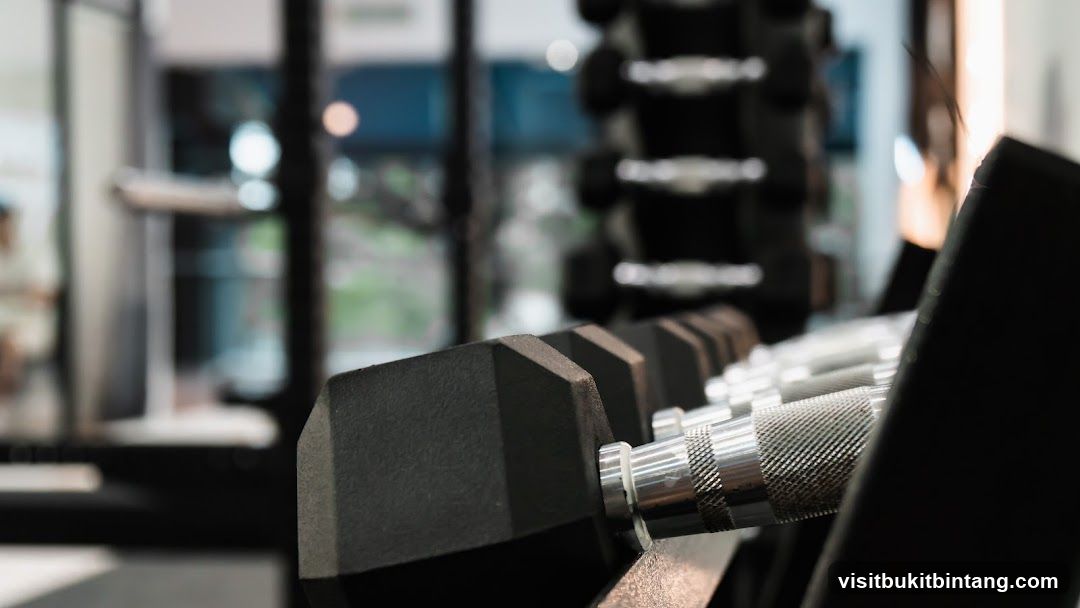 Dumbbells on Rack