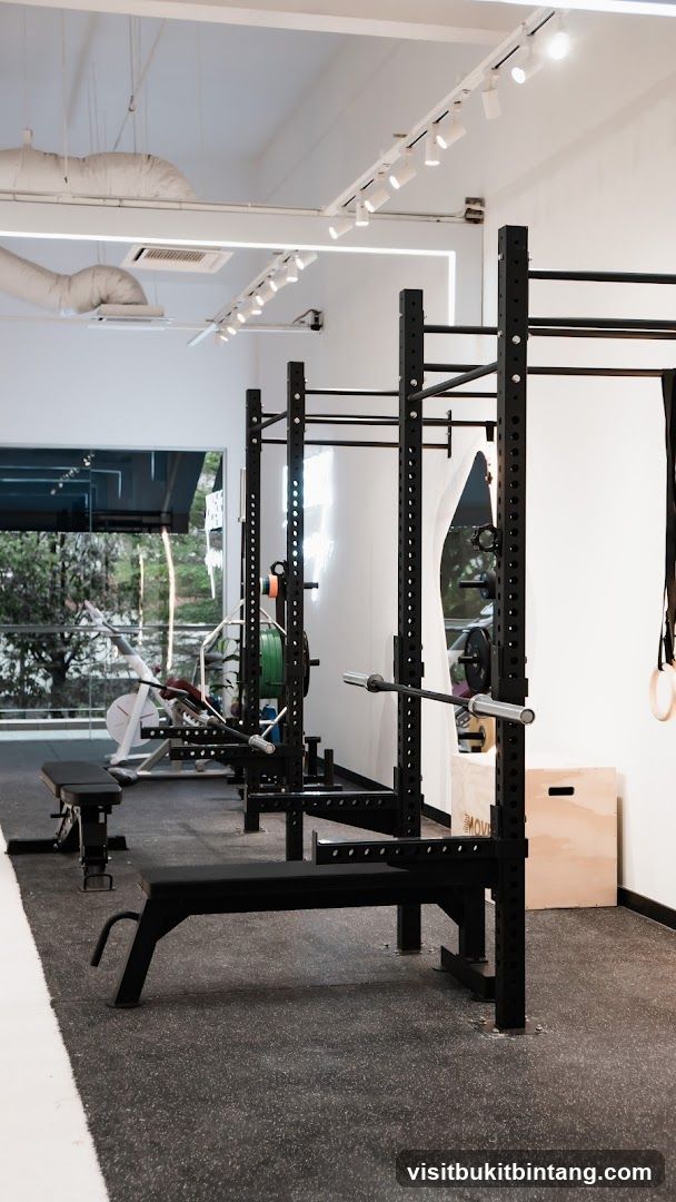 Gym Equipment