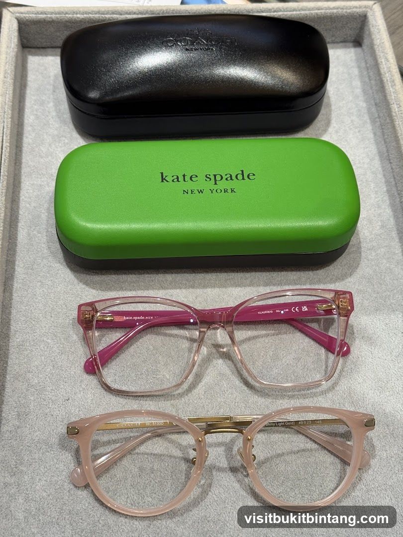 Eyeglasses and Cases