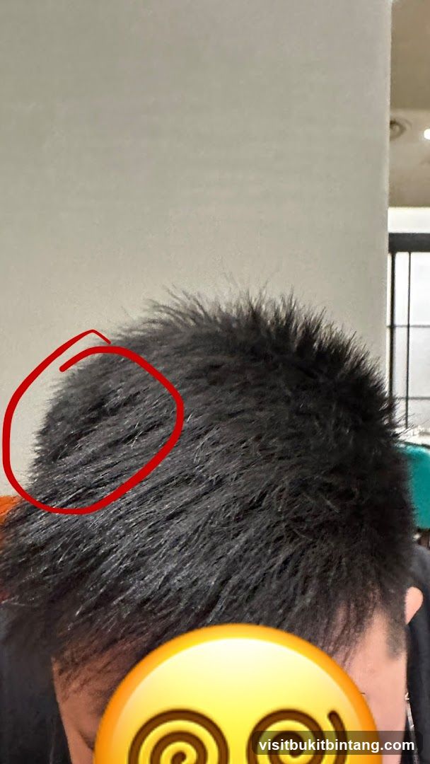 Person's Hair