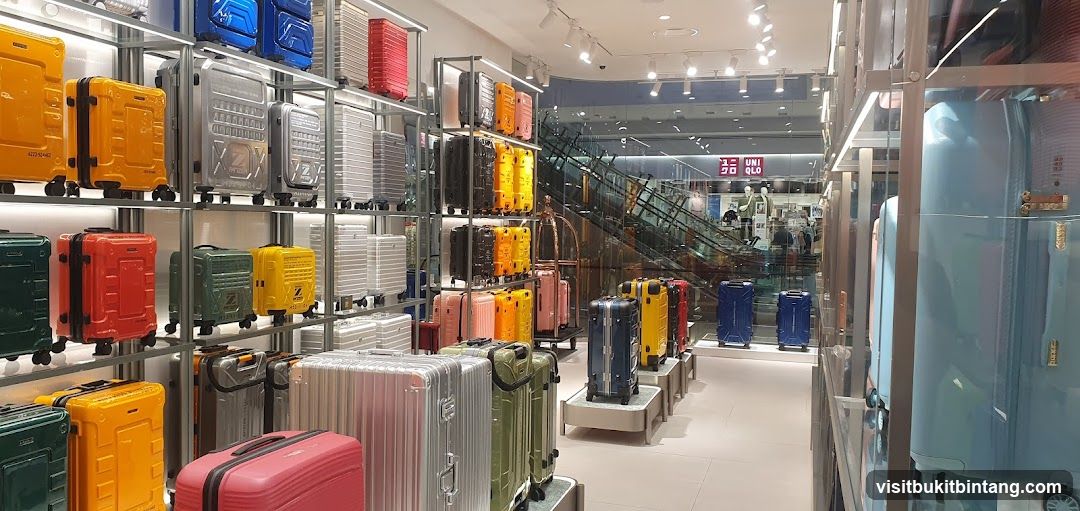Luggage Store Display