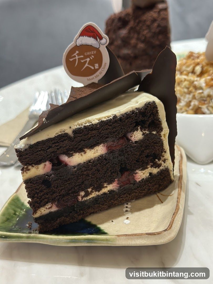 Chocolate Cake Slice